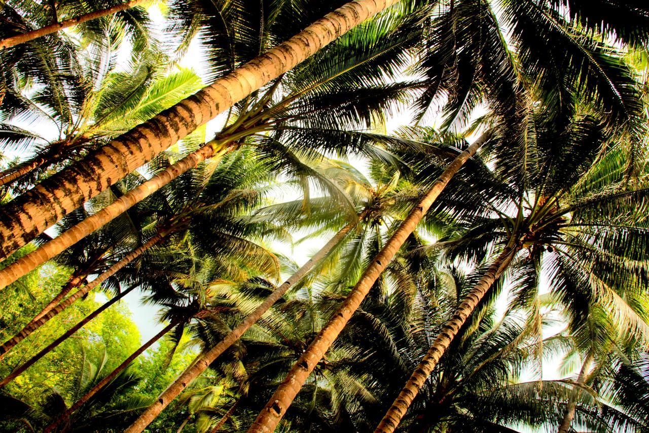 Arkadia Beach Resort Underground River Sabang  Esterno foto